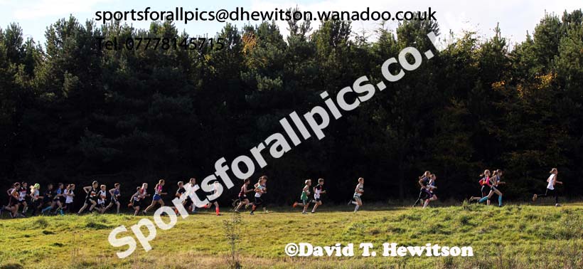 Under-11s start, North East Harrier League, Cramlington. Photo: David T. Hewitson/Sports for All Pics